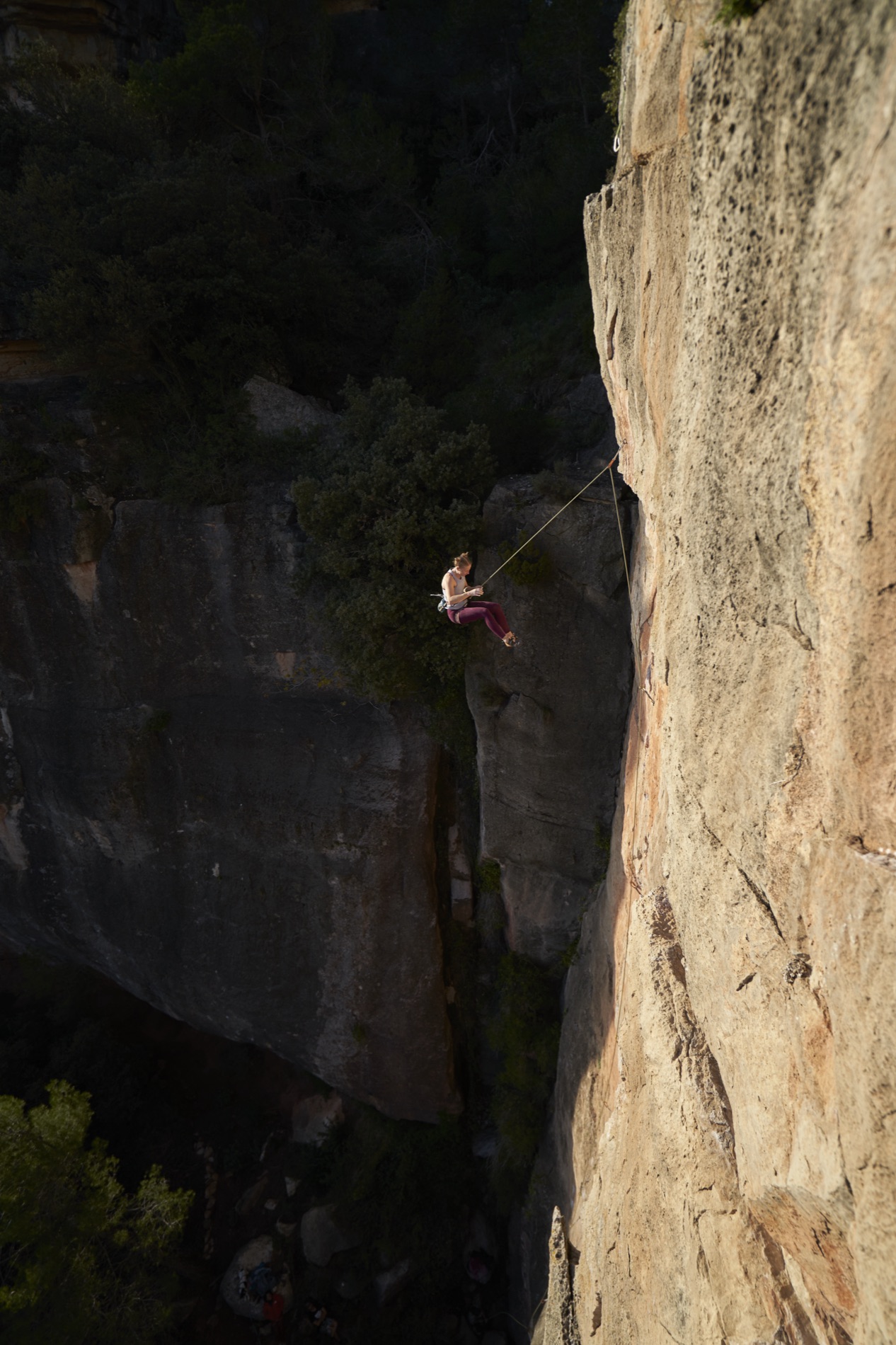 A climber leans back on the rope against a sunlit orange limestone wall, hanging over a deep shaded canyon. By Alexander Estrada.