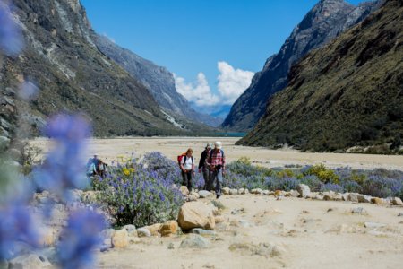 Hikers walk a desert valley trail framed by purple wildflowers and steep canyon walls